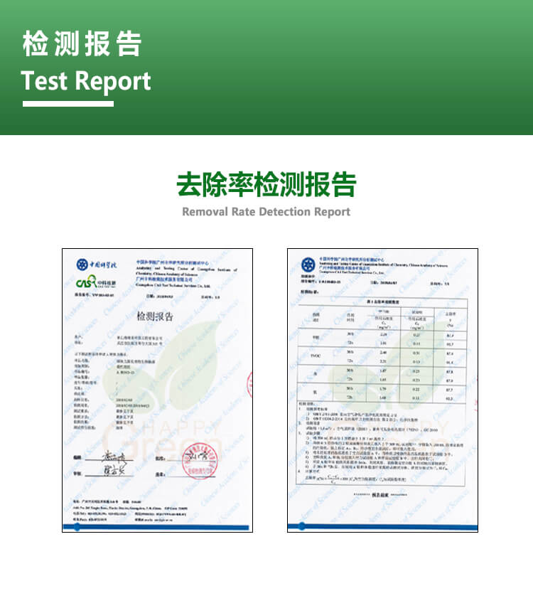 绿快强力苯醛清除触媒检测报告