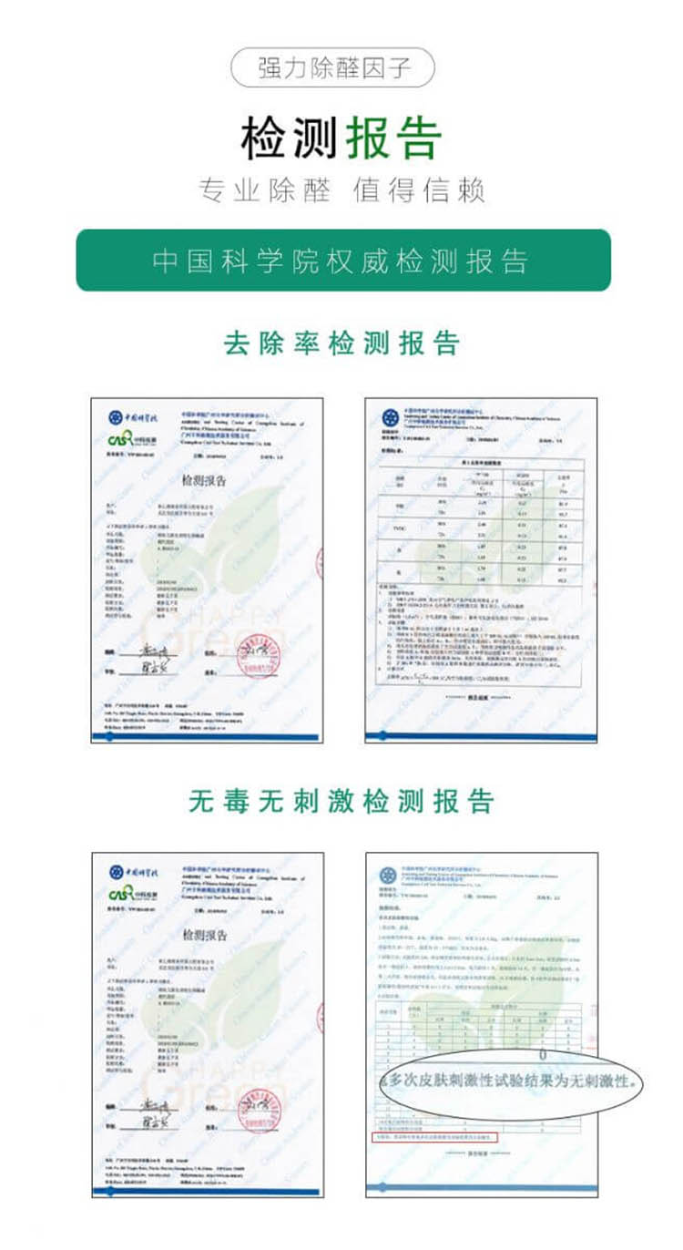 绿快光催化强力除醛因子检测报告