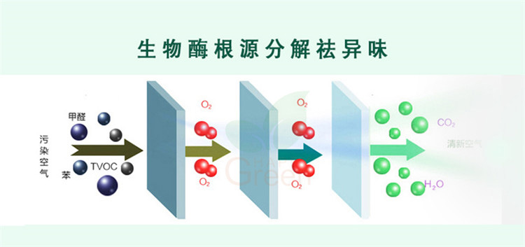  绿快异味分解酶